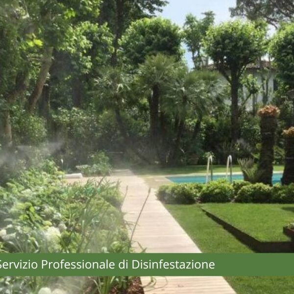 Servizio Professionale di Disinfestazione a Pietrasanta Lucca da Biagi Servizi Ambientali
