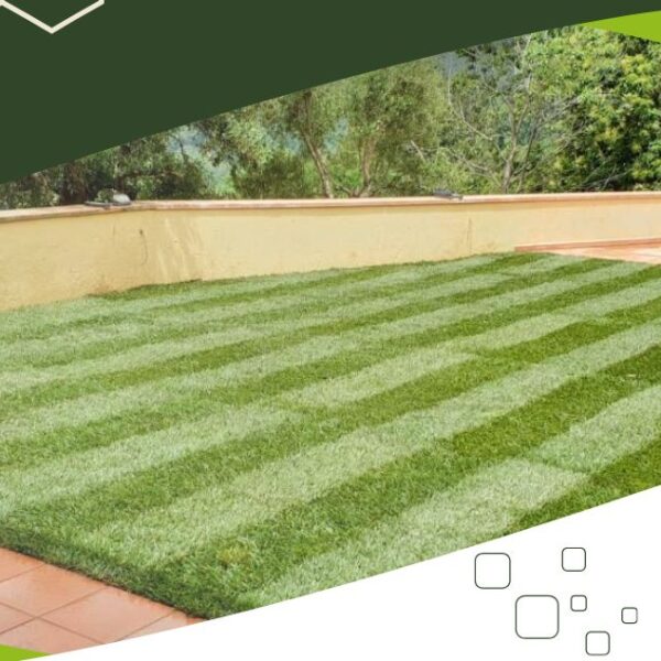 Servizi di giardinaggio e manutenzione giardino in Versilia Lucca: cura professionale per spazi verdi rigogliosi con TecnoEcoAmbiente