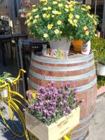 Cucina tradizionale toscana a Pietrasanta da Osteria La Tecchia - immagine 5